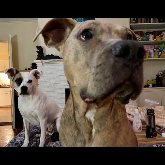 Hey it’s Cypress! - Picture 3 of 3